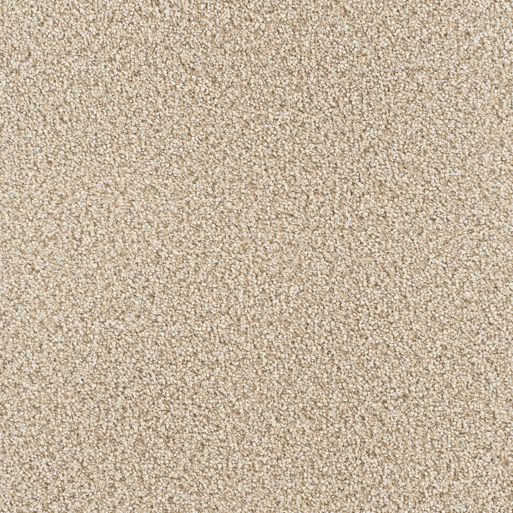 Star Struck - Linen