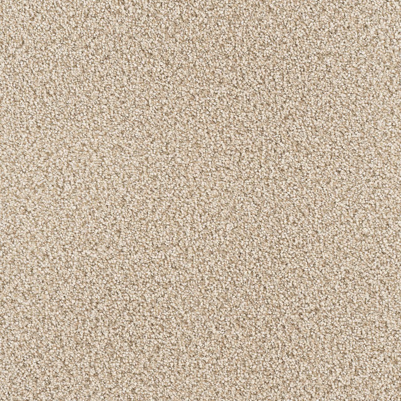 Star Struck - Linen