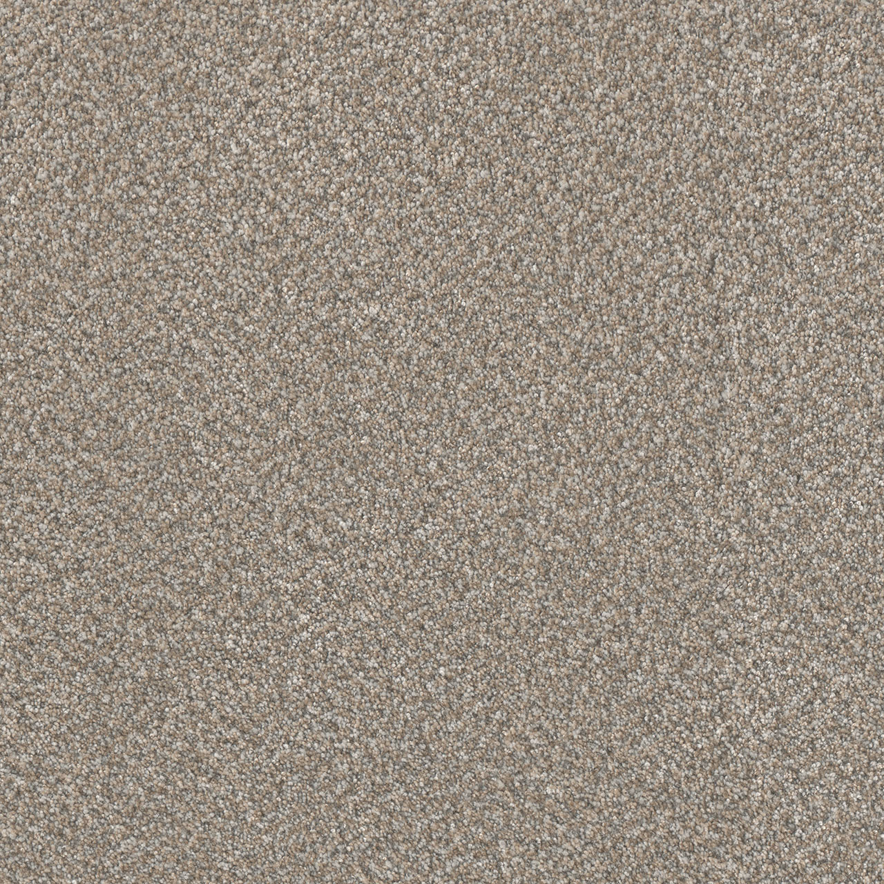 Lucky Penny I - Burnished