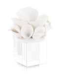 Ceramic Coral Reef Sculpture II | John-Richard - JRA-11864
