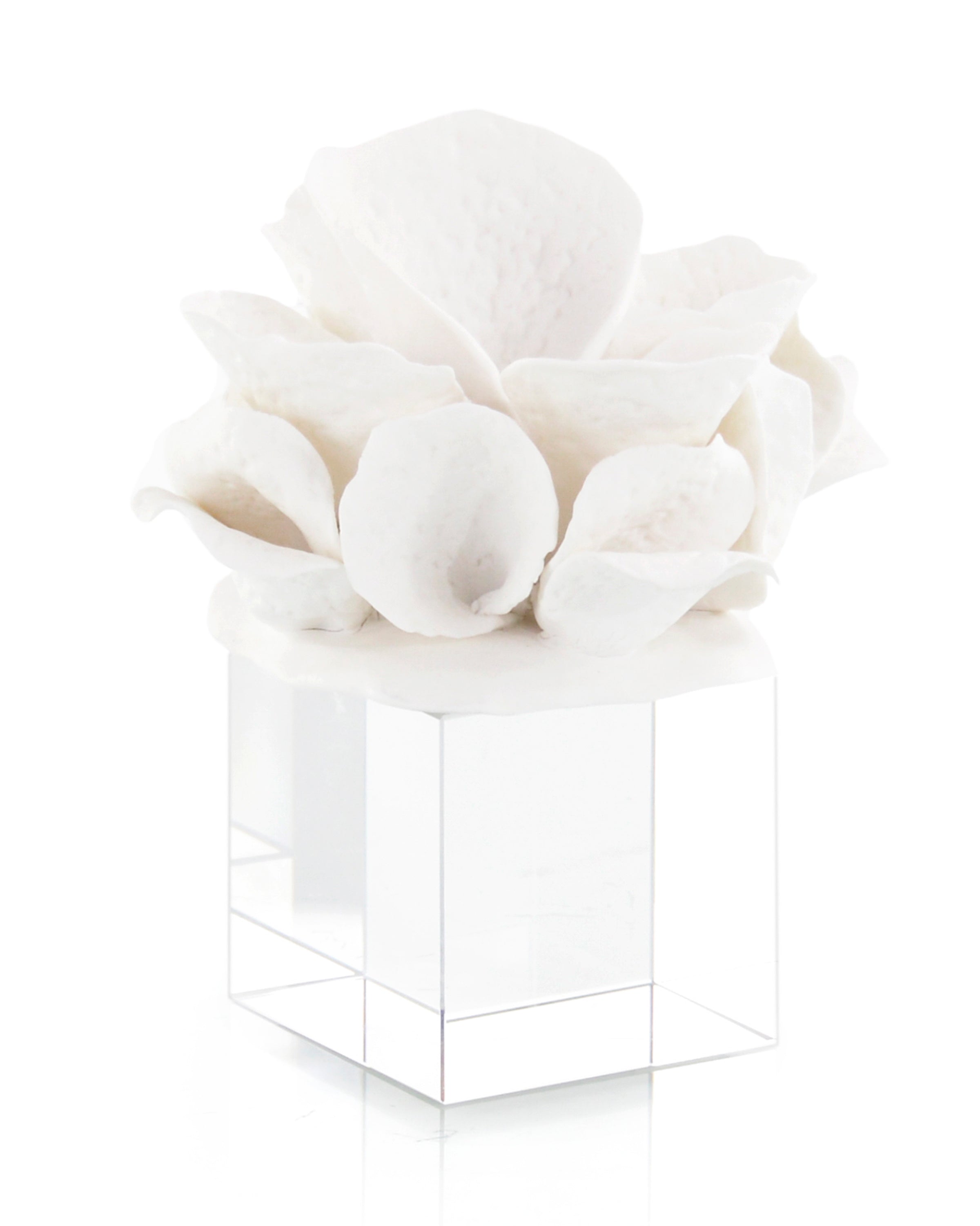 Ceramic Coral Reef Sculpture II | John-Richard - JRA-11864