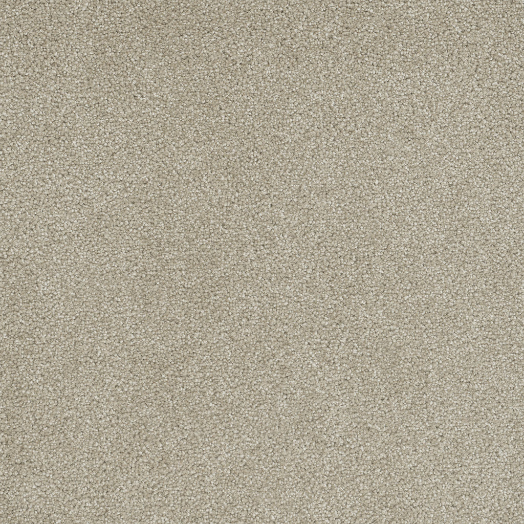 Rock Solid II - Cream