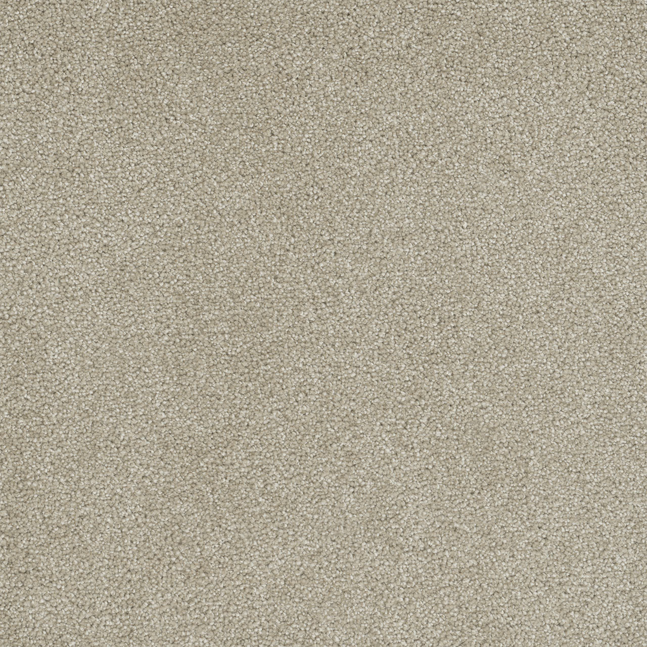 Rock Solid II - Cream