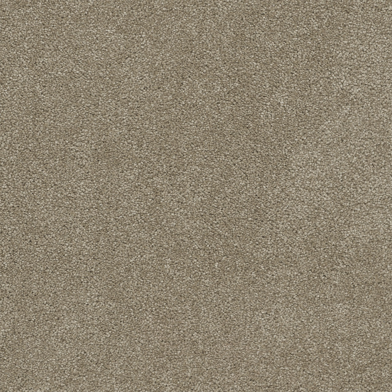 Rock Solid I - Buff