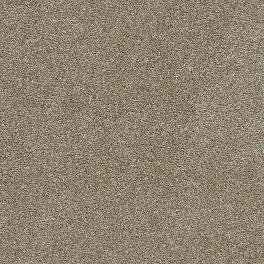 Rock Solid II - Buff