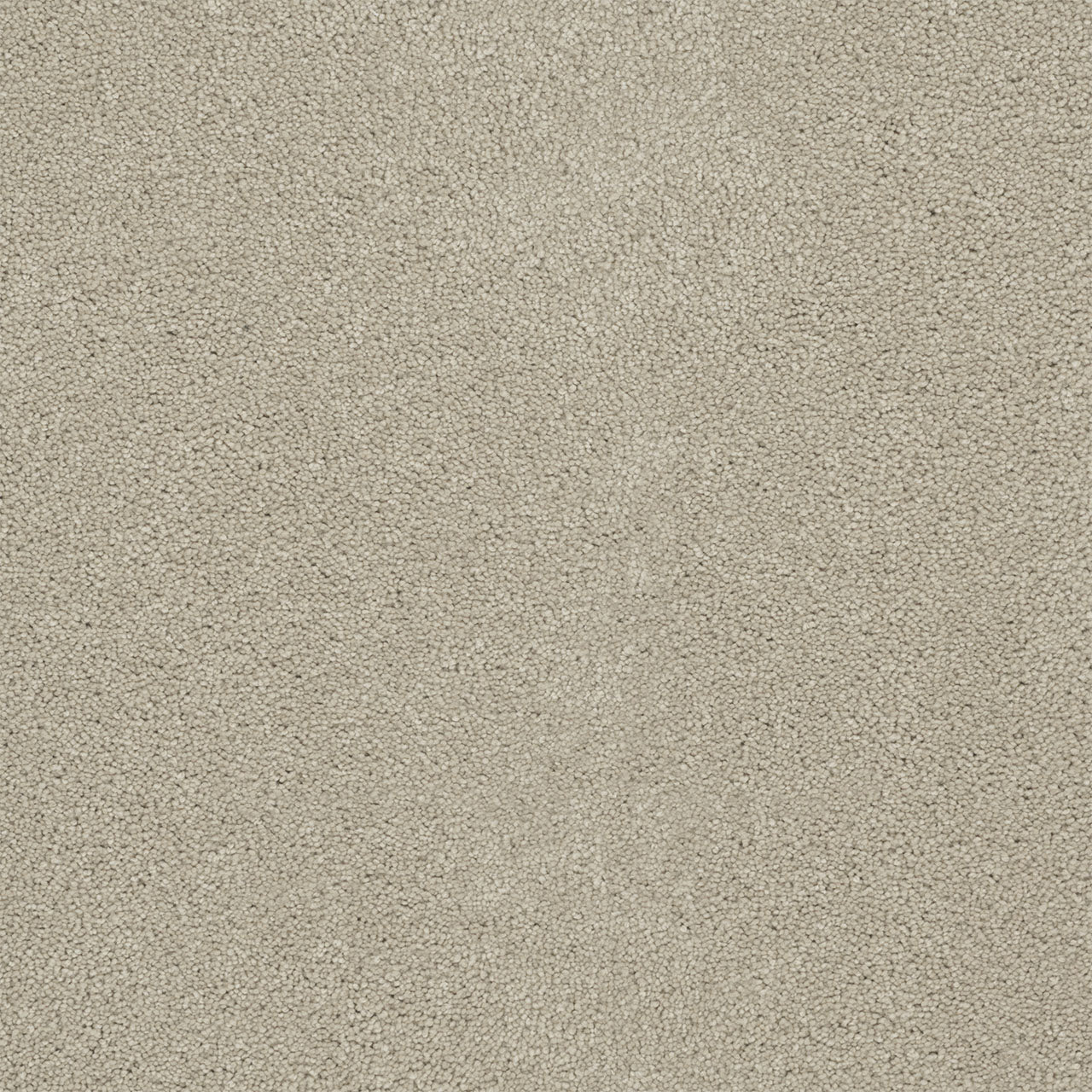 Rock Solid II - Ivory
