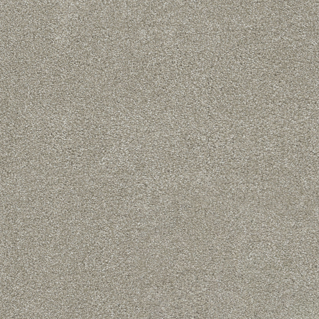 Rock Solid II - Parchment