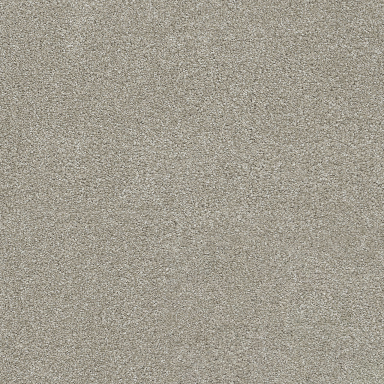 Rock Solid II - Parchment
