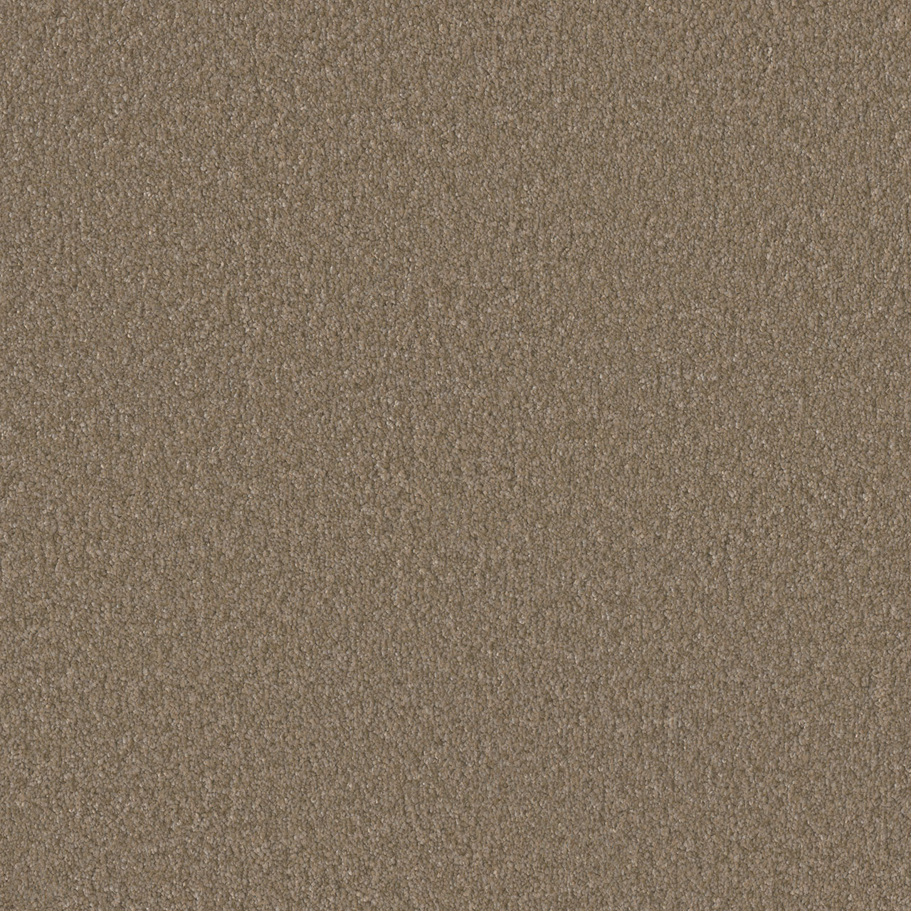 Rock Solid I - Fox Tail