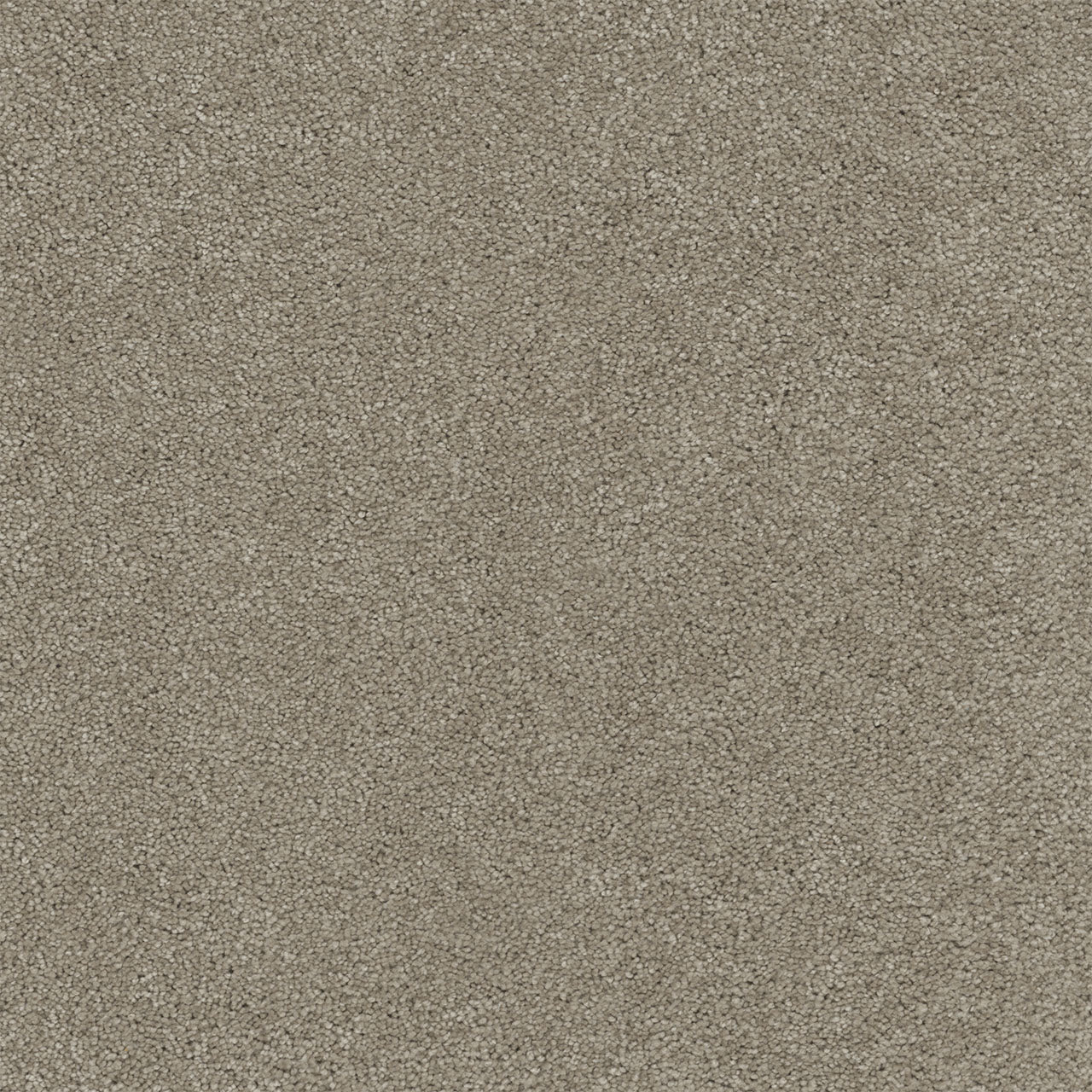 Rock Solid I - Warm Teak