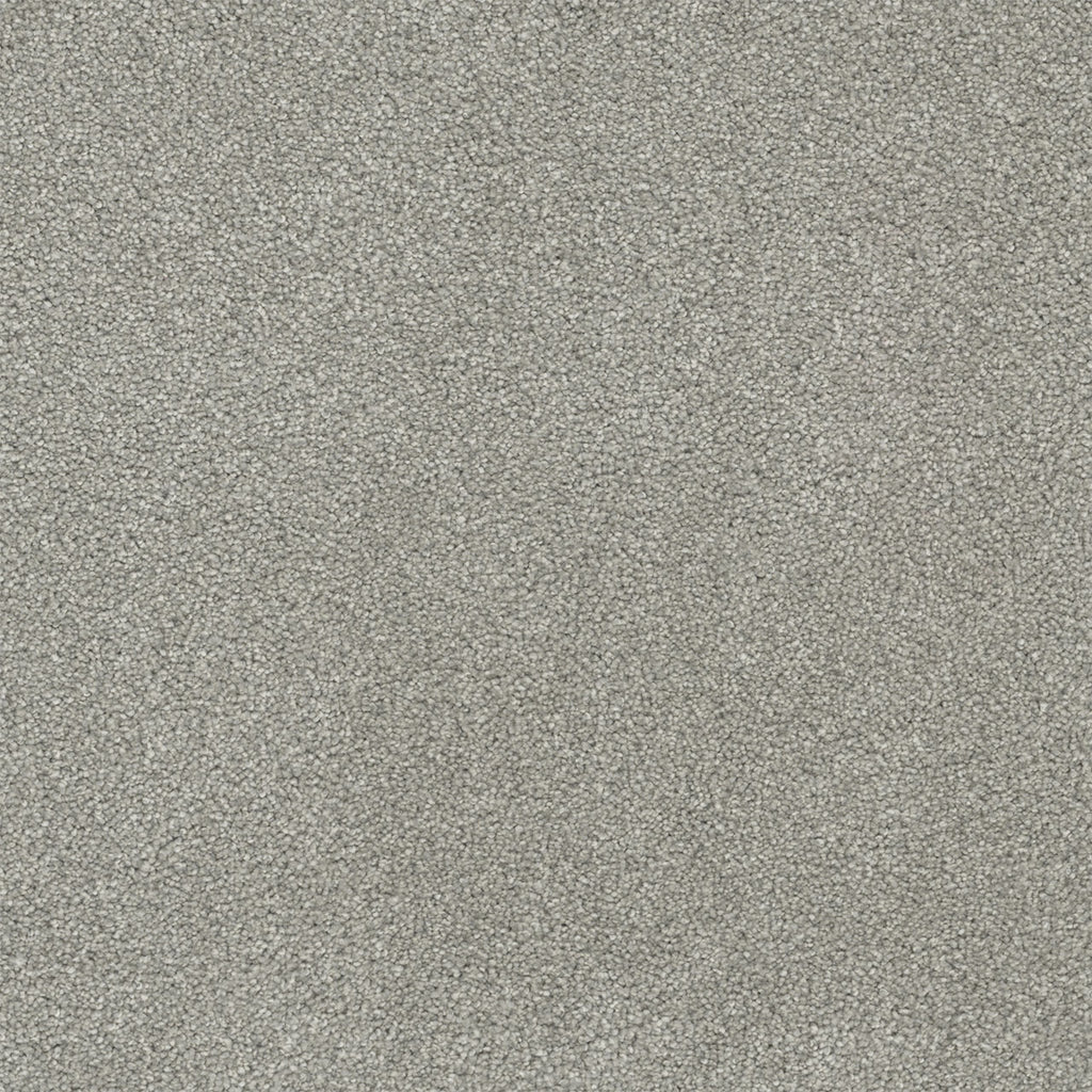 Rock Solid II - Dove