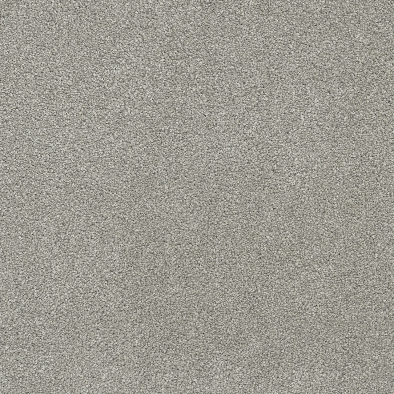 Rock Solid II - Dove