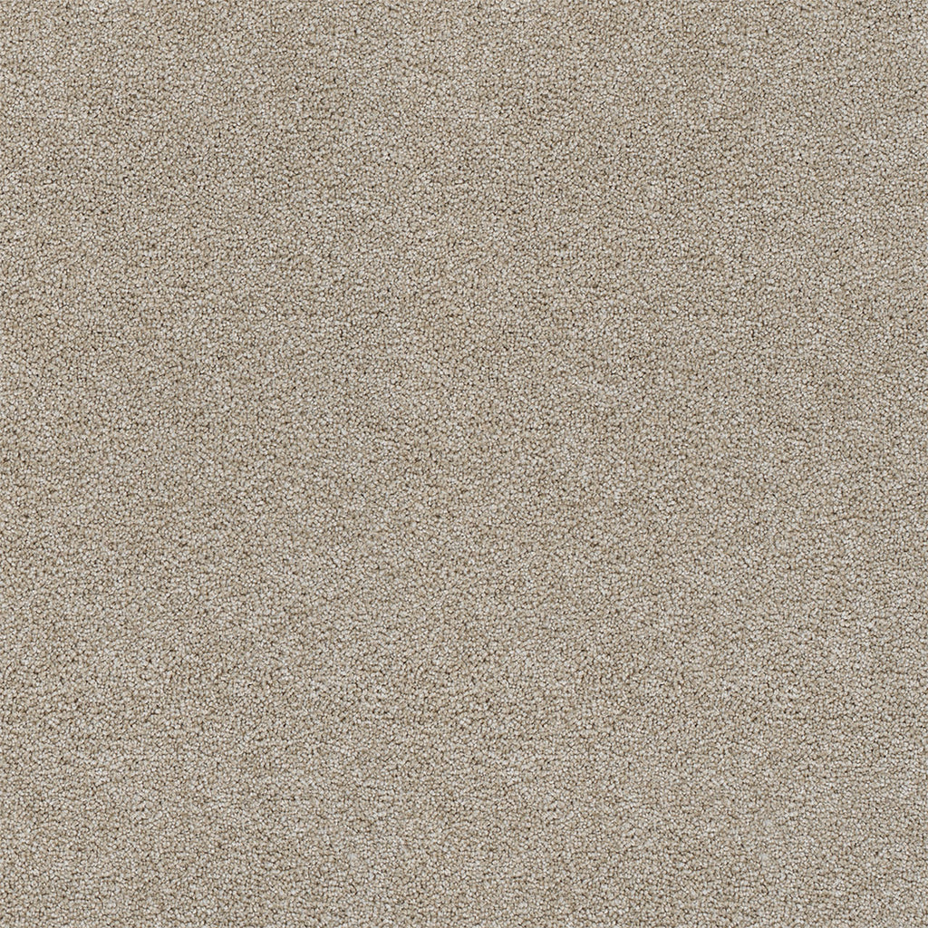 Rock Solid II - Beach Sand