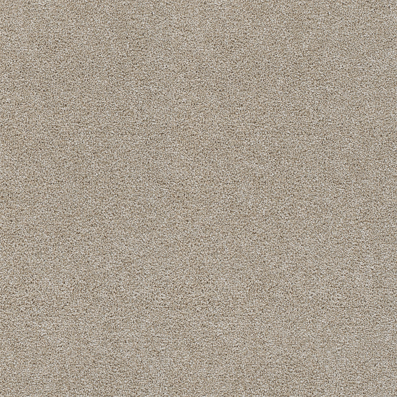 Rock Solid II - Beach Sand