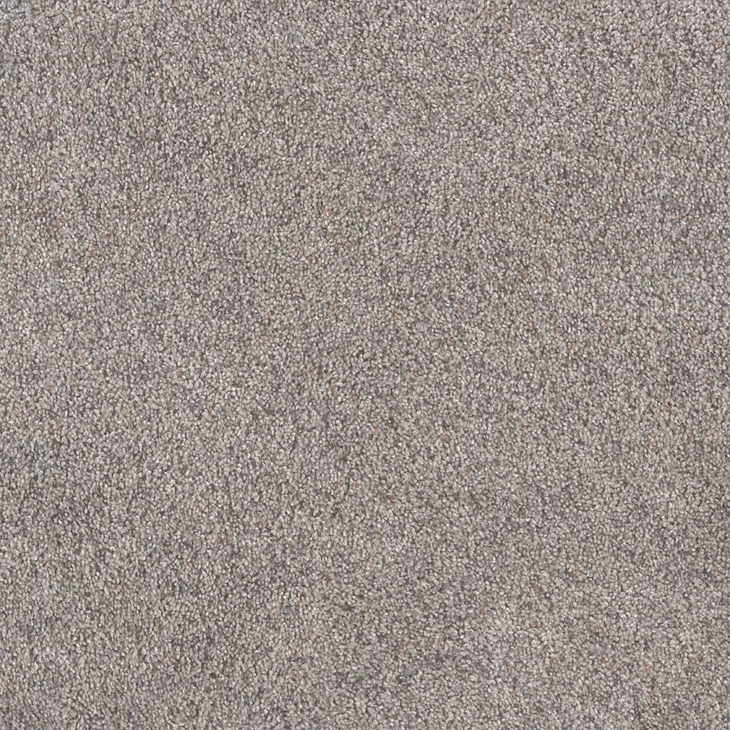Rustic Retreat I - Dried Sage