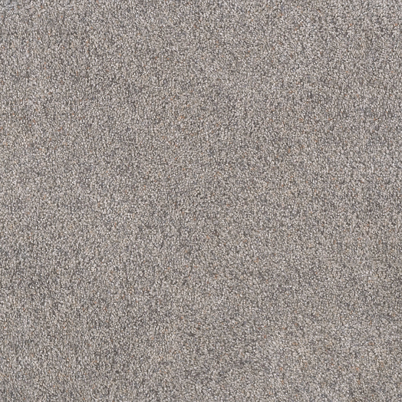 Rustic Retreat I - Dried Sage