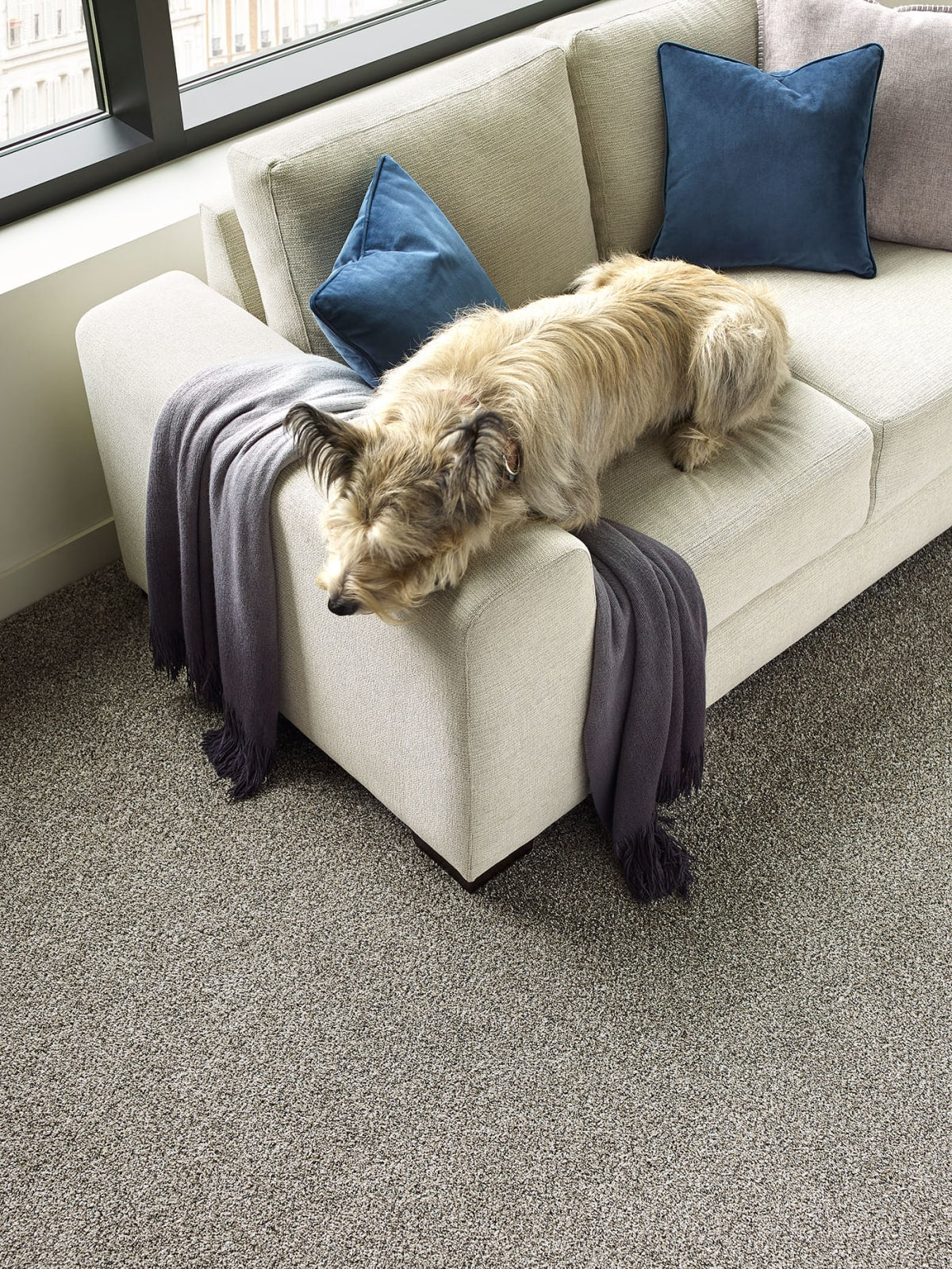 Titan I Carpet