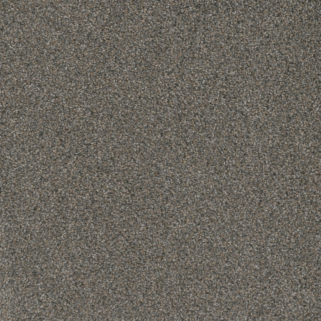 Mill Creek I - Rain Shadow