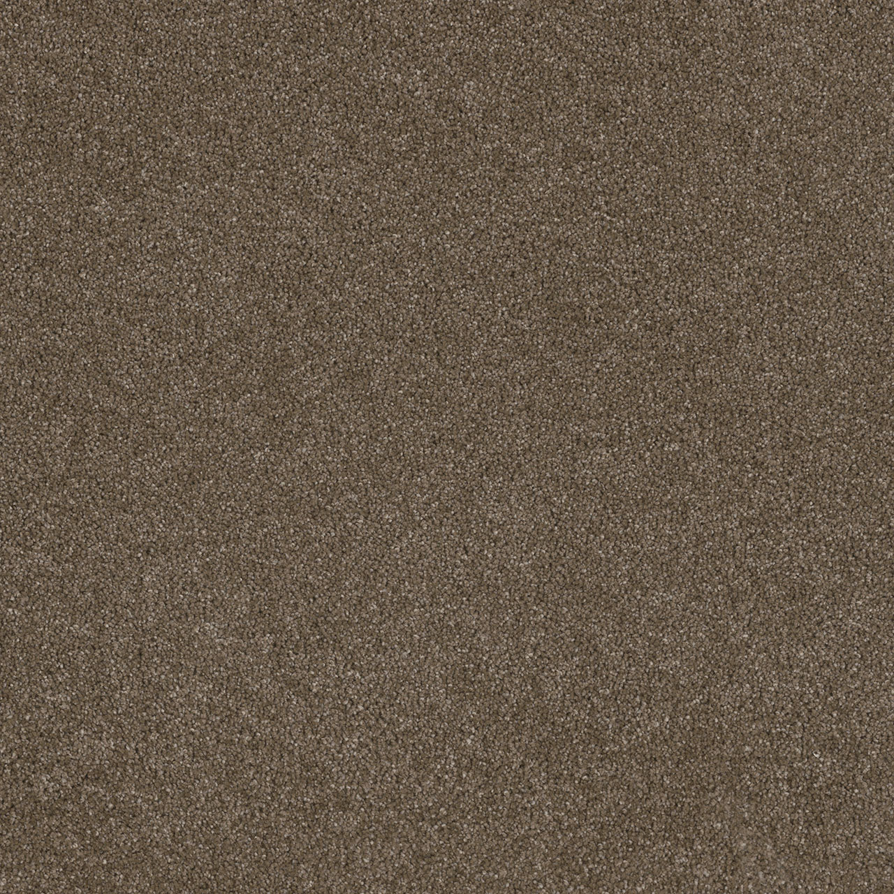 Titan III - Peppercorn