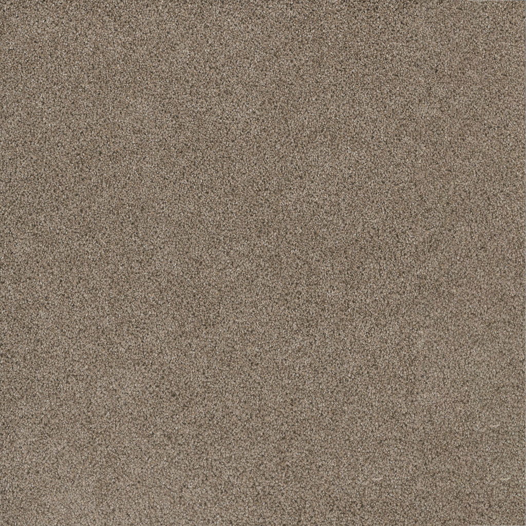 Titan III - Mocha