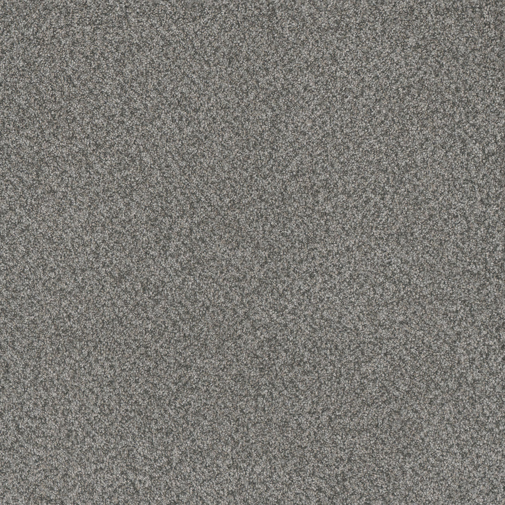 Titan III - Orchid