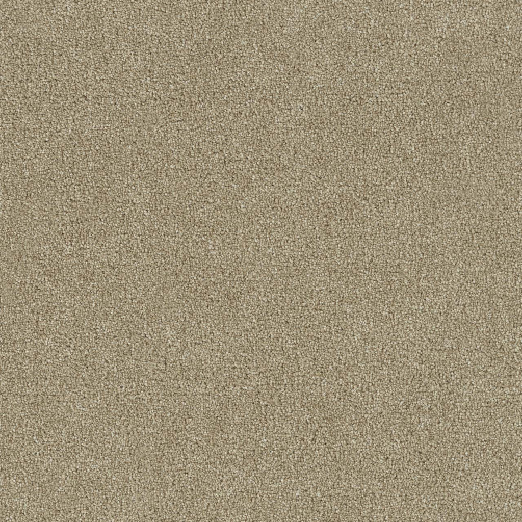 Foxwood III - Cashmere