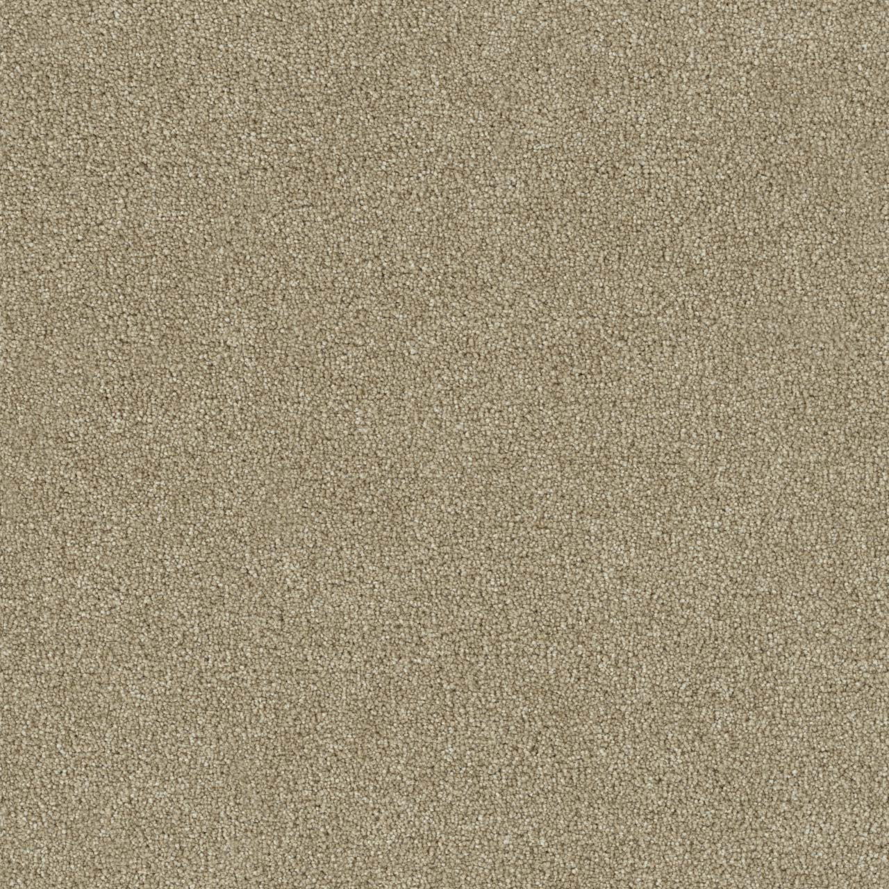 Foxwood III - Cashmere