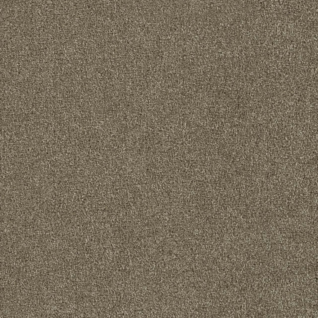 Foxwood III - Hazelnut