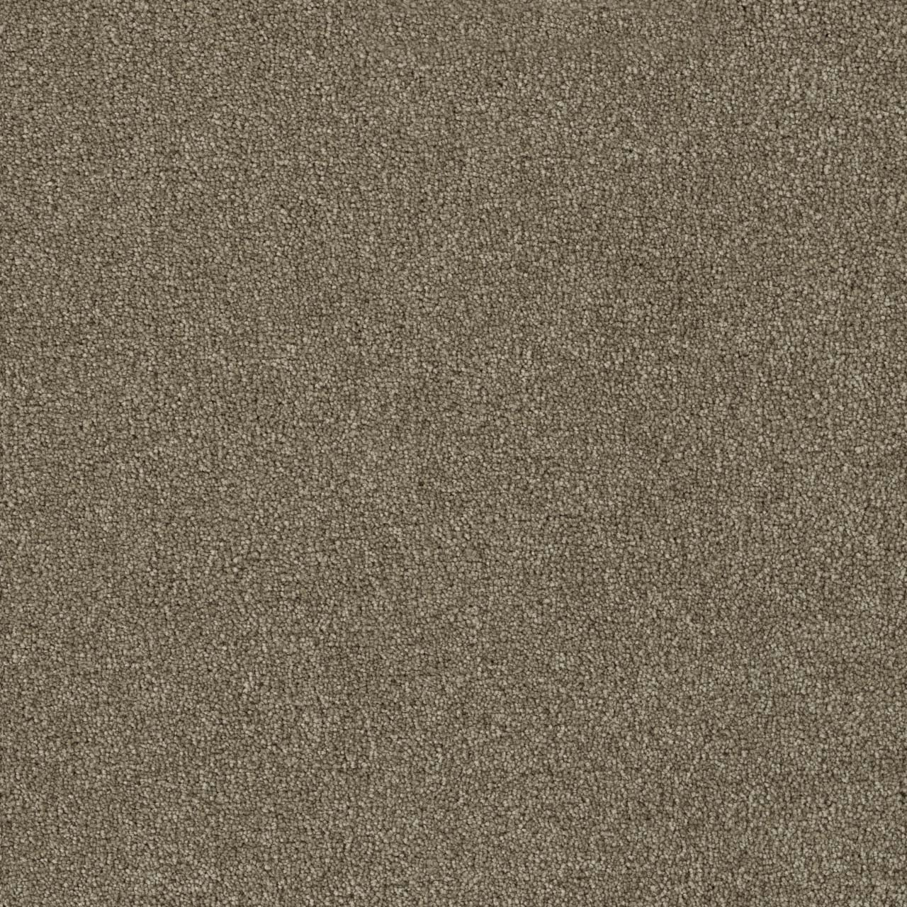 Foxwood III - Hazelnut