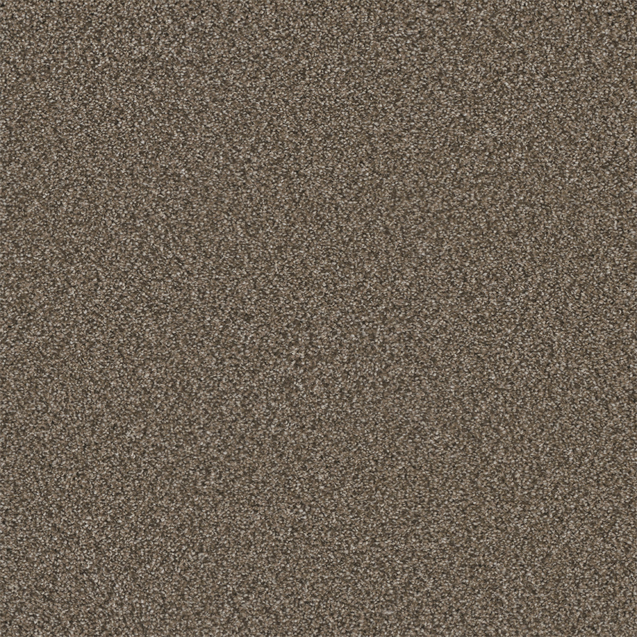 Royale I - Fawn