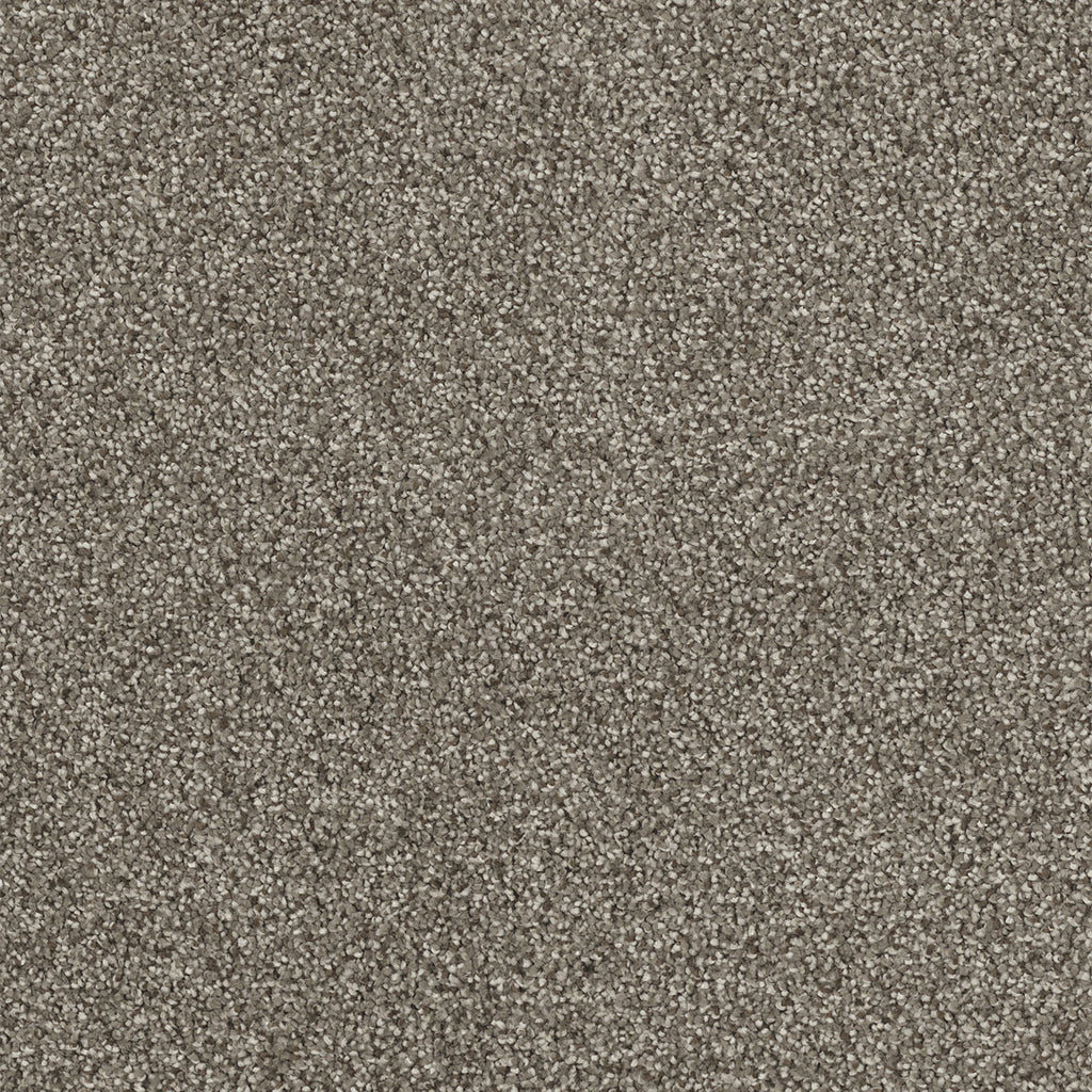 Monte Carlo I - Baltic Birch
