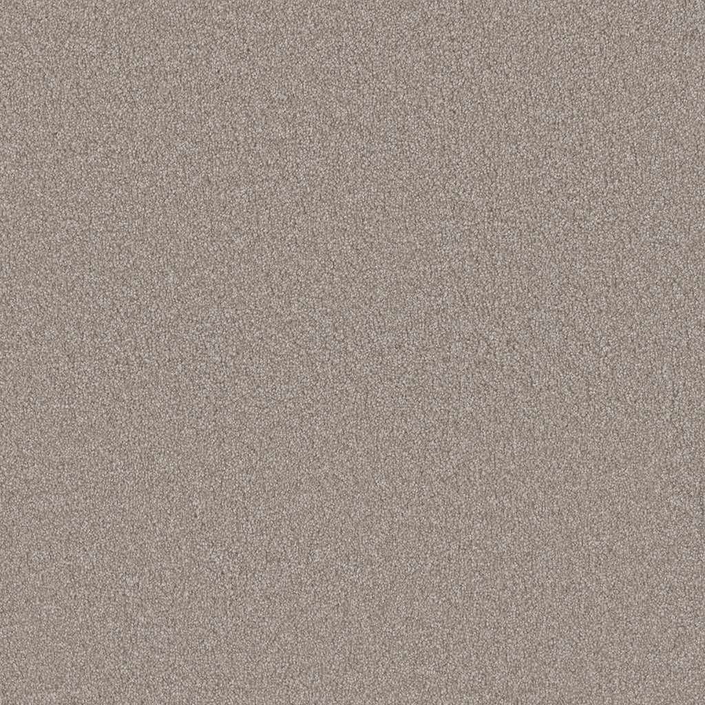 Monte Carlo I - Parchment