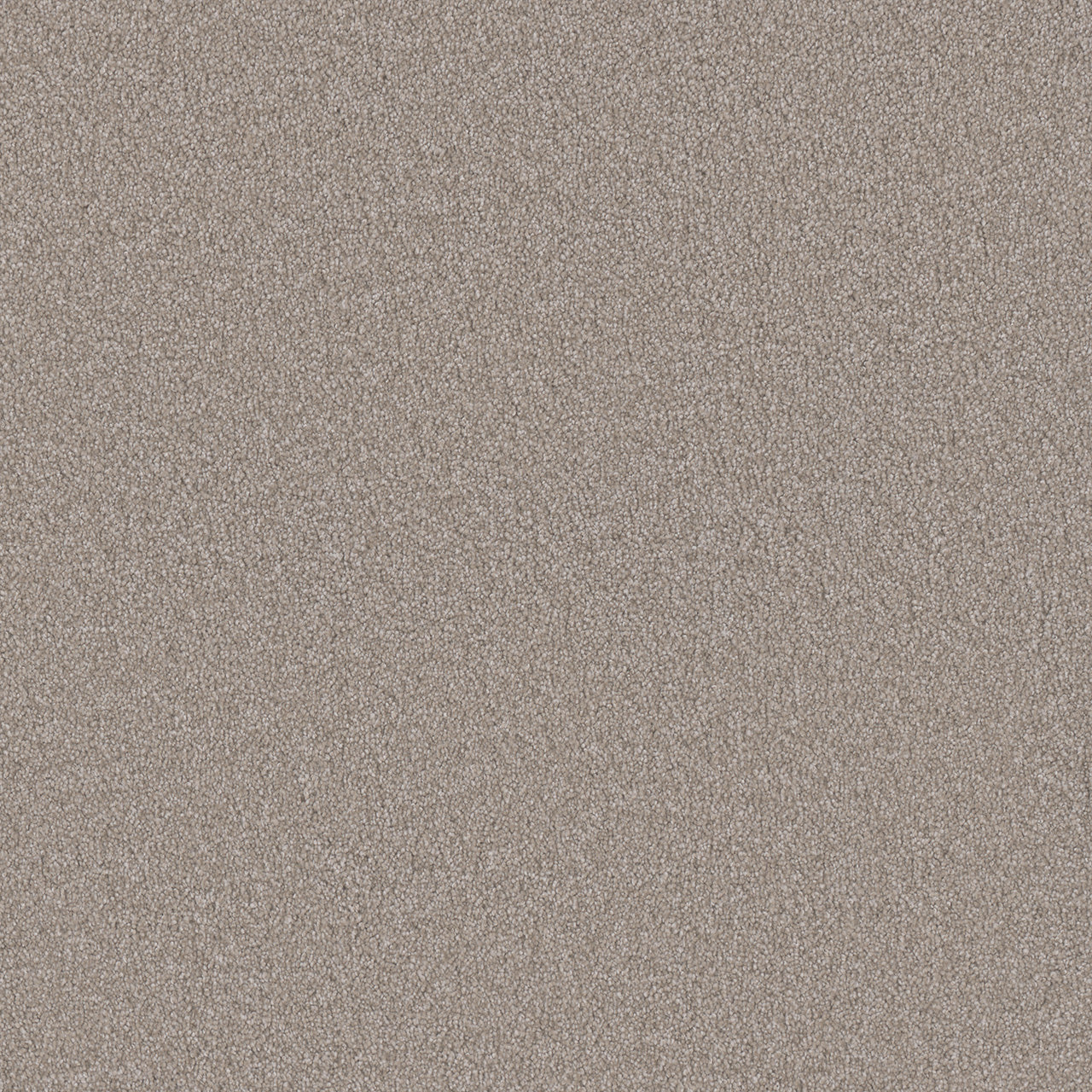 Monte Carlo I - Parchment