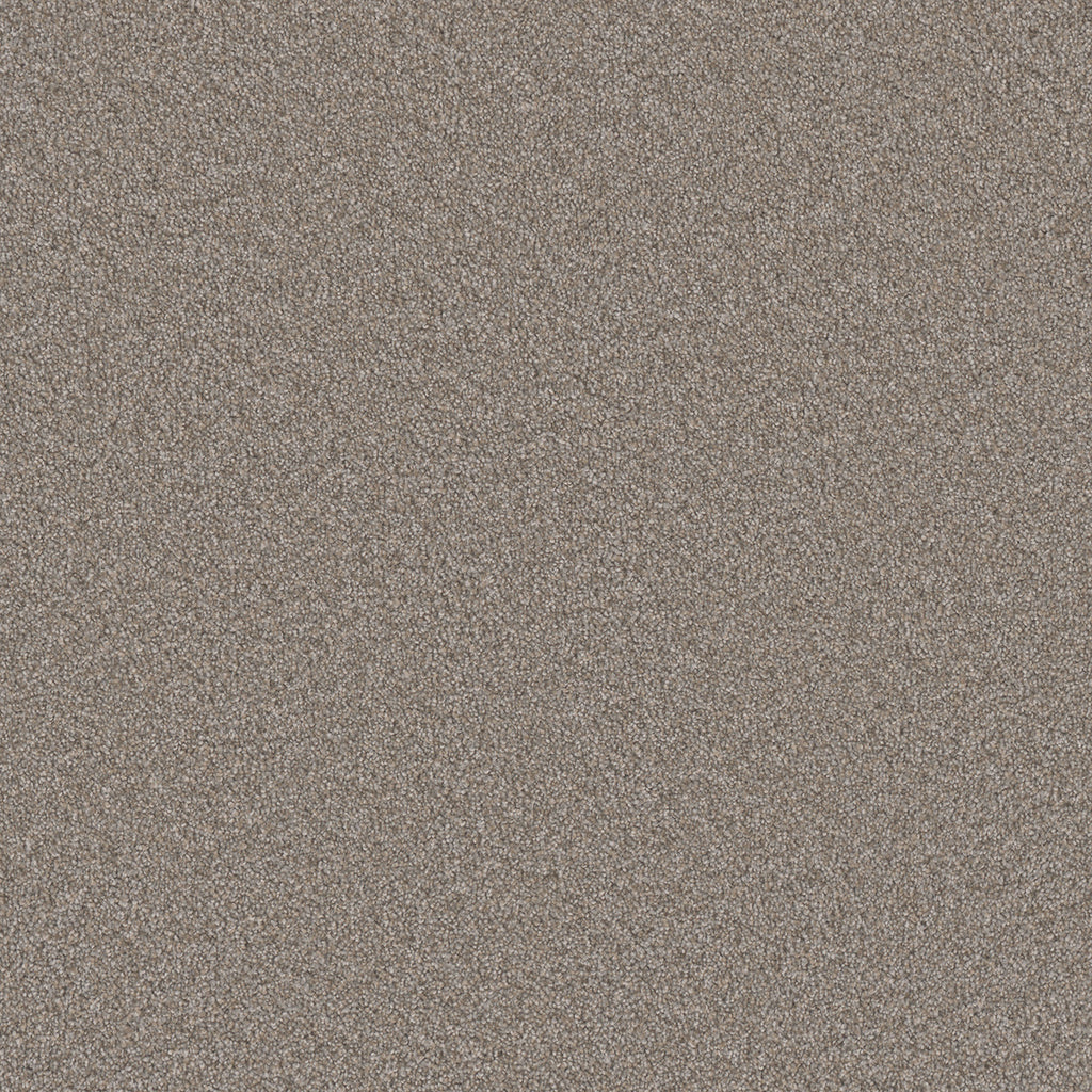 Monte Carlo I - Iron Frost
