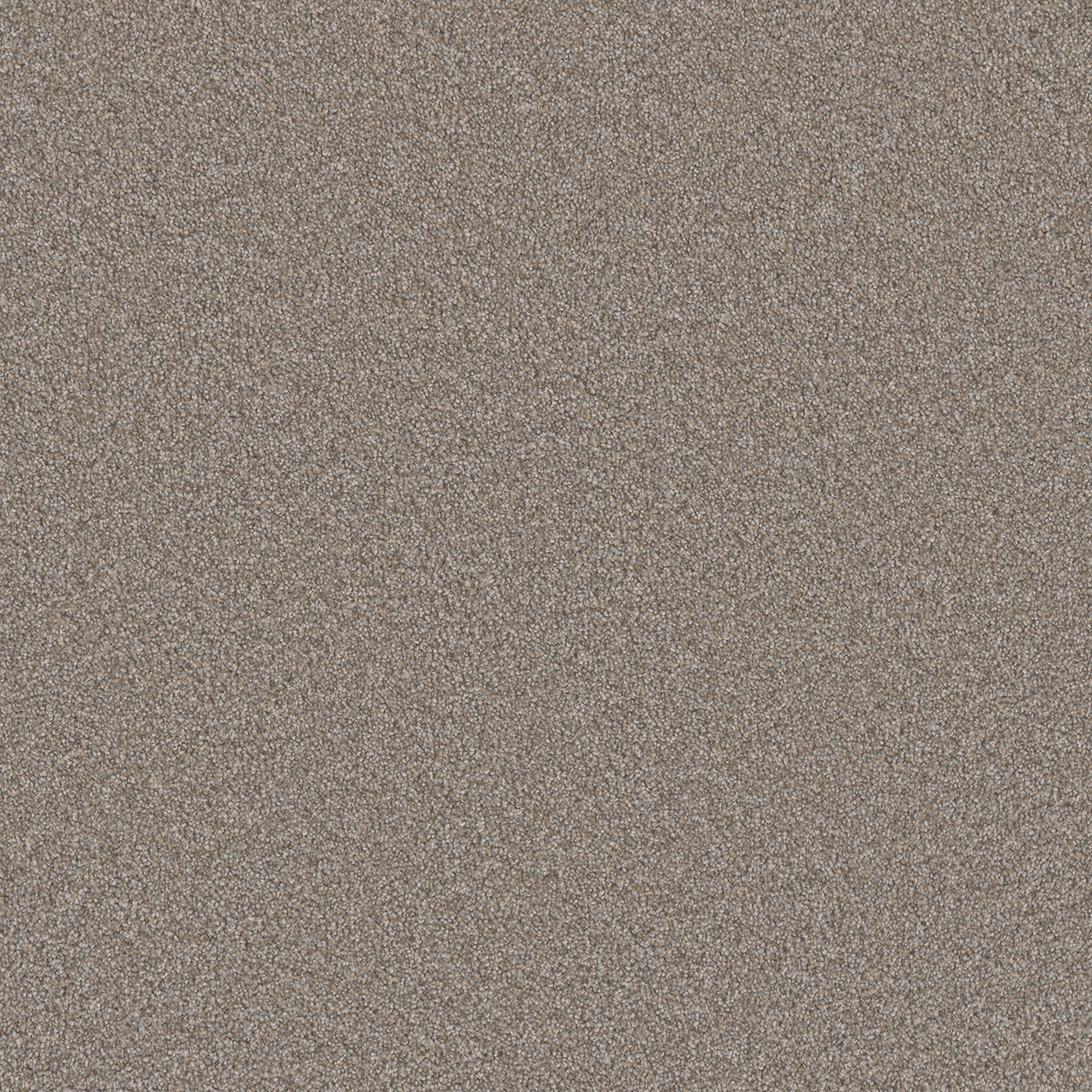 Monte Carlo I - Iron Frost