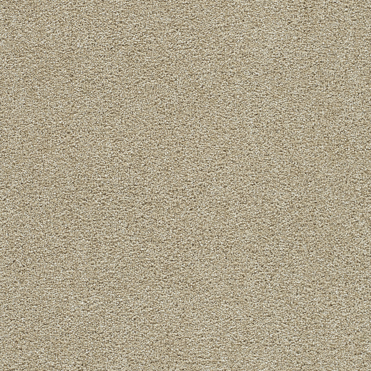 CLEAR SKIES II - Cream
