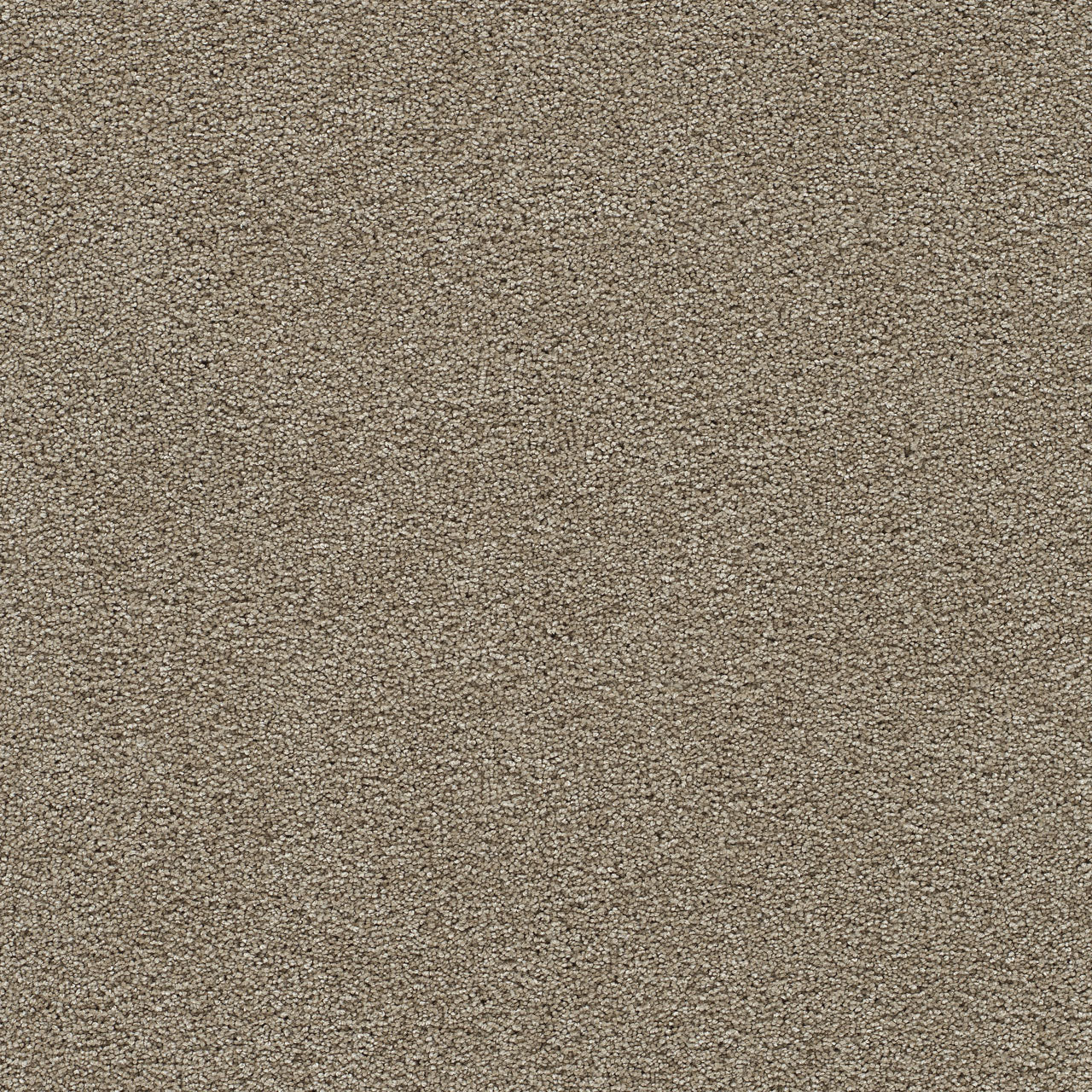 CLEAR SKIES II - Warm Teak