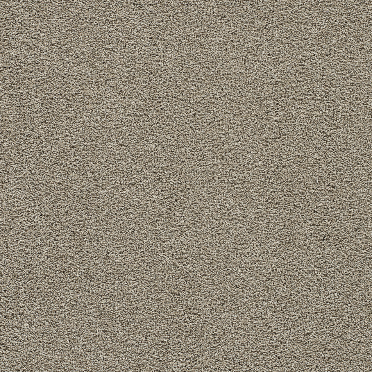 CLEAR SKIES II - French Oak