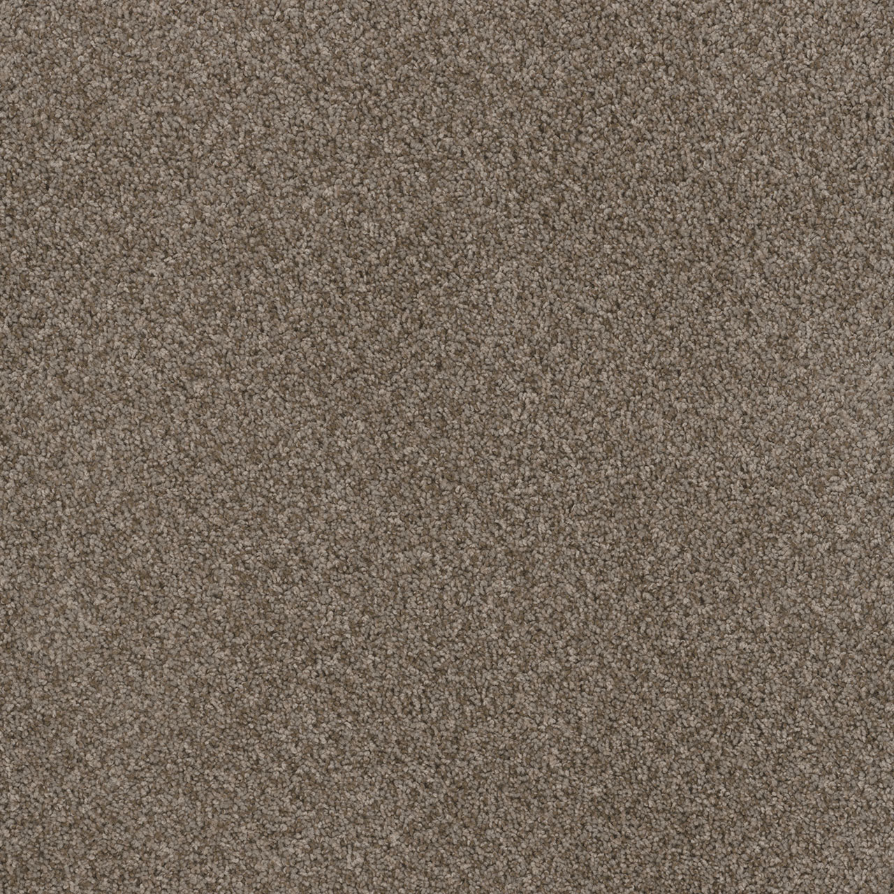 TOAST OF THE TOWN - English Stone