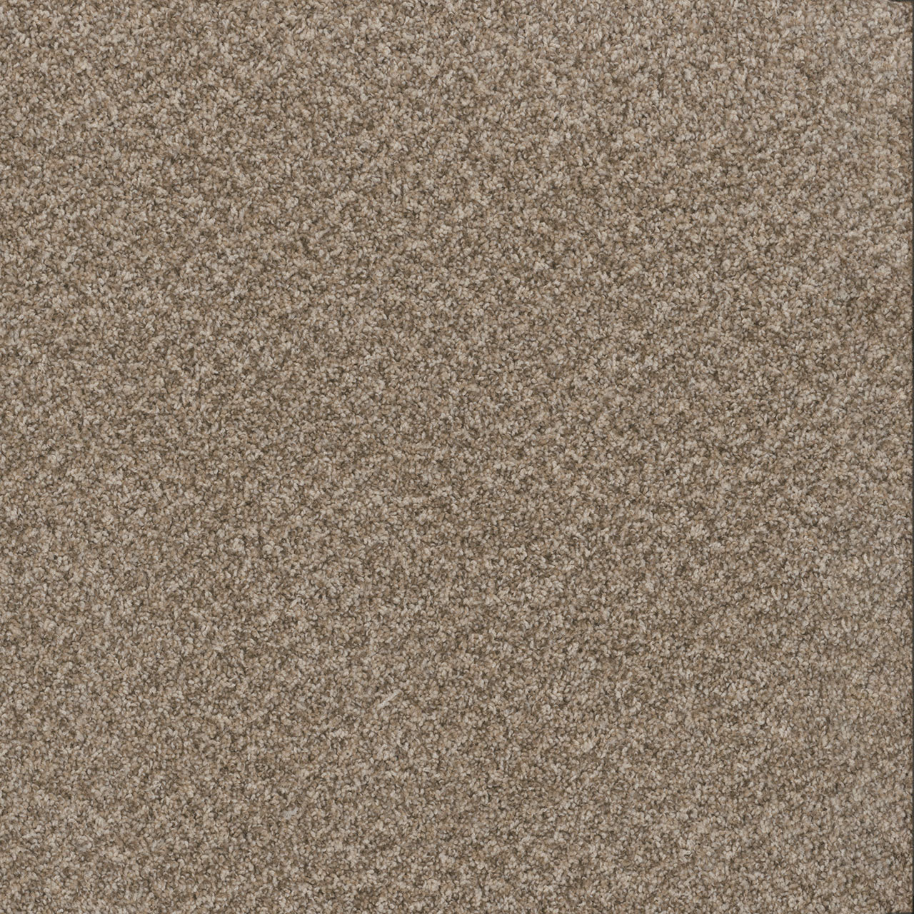 TOAST OF THE TOWN - Natural Cotton