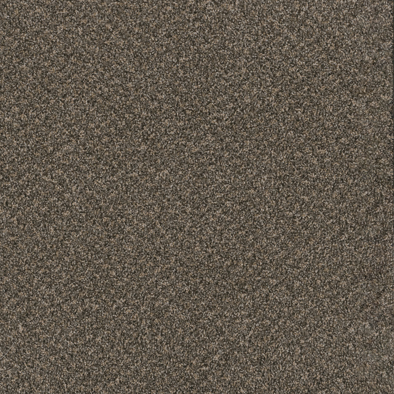 TOAST OF THE TOWN - Wrought Iron