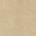 535-3024 Chamois.jpg