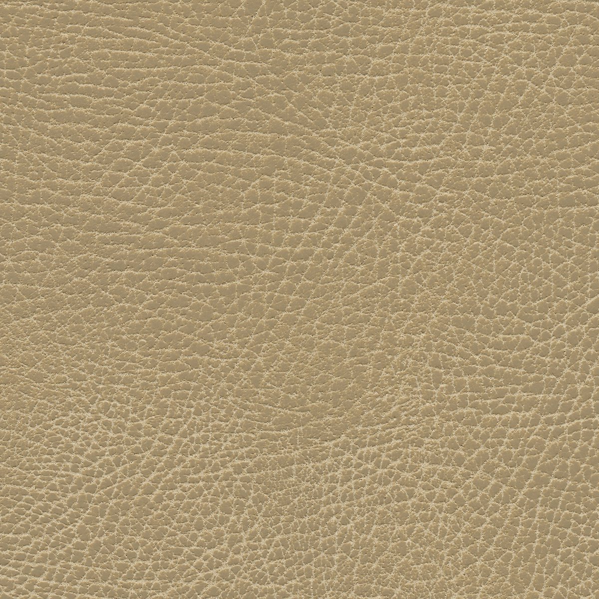 535-3134 Buckskin.jpg