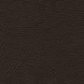 535-3231 French Roast.jpg