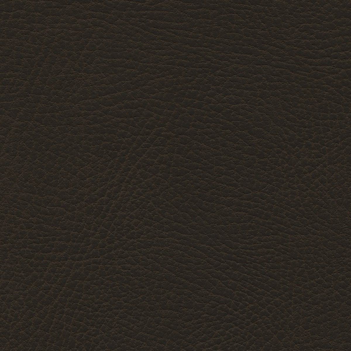 535-3231 French Roast.jpg