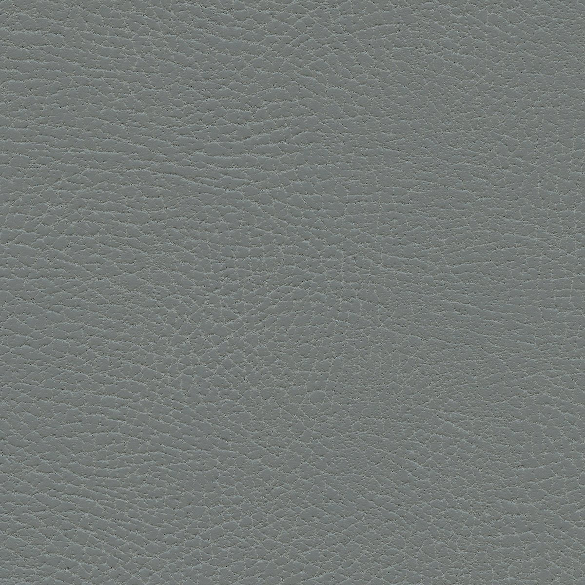 535-3271 Koala.jpg