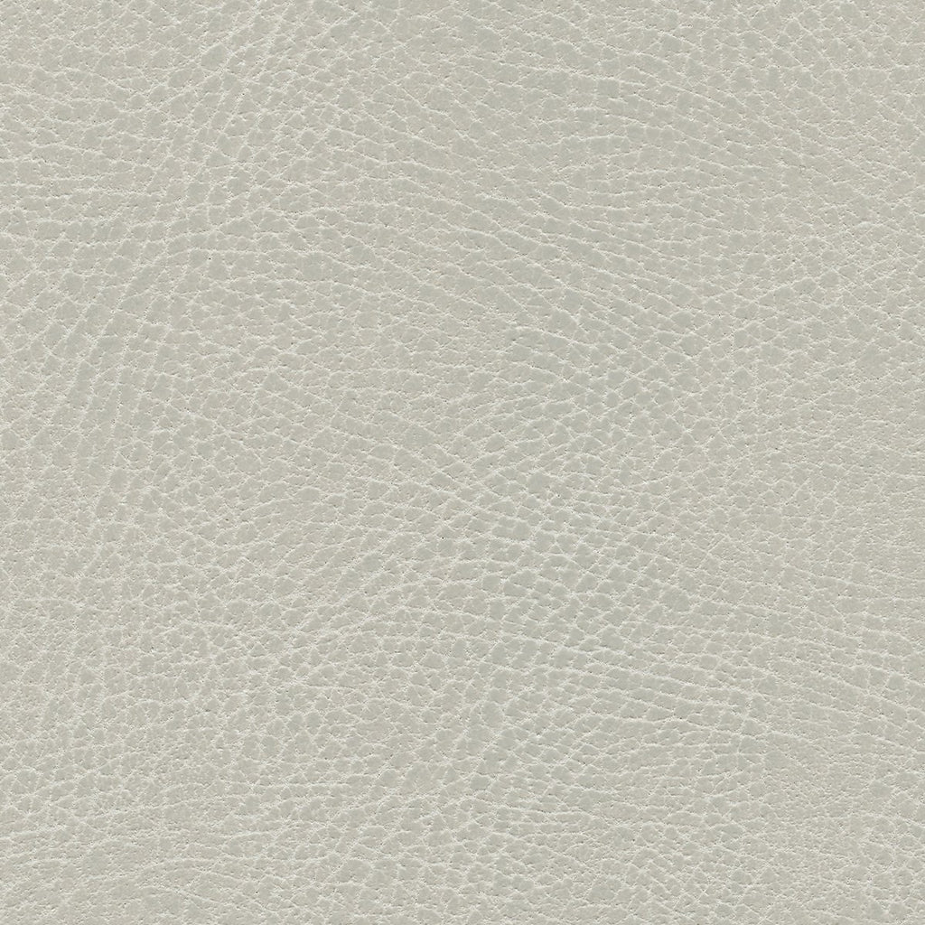 535-3274 Coyote.jpg