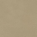 535-3340 Desert Tan.jpg