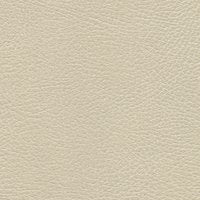 535-3480 Navajo Ivory.jpg
