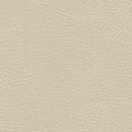 535-3480 Navajo Ivory.jpg